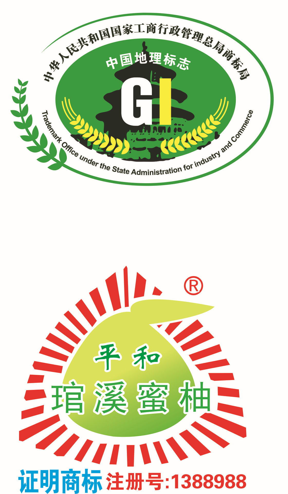 福建平和琯溪红肉蜜柚 蜜柚发源地 新鲜柚子蜜柚 现摘现发.