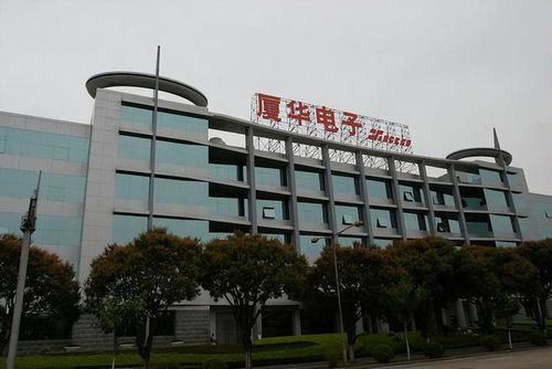 陈道明曾代言的 彩电霸主 败局 工厂 商标被卖,沦落到卖肉为生