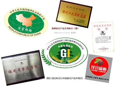 龙海市杨梅节即将甜蜜开启!让我们感受一下浮宫杨梅的魅力吧!