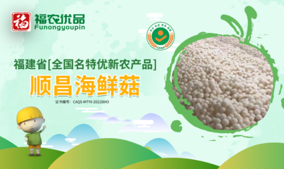 如冰似雪胜玉簪 顺昌海鲜菇|福建省【全国名特优新农产品】