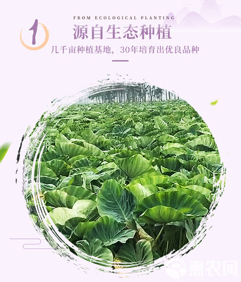 福建槟榔芋头 去皮冷冻的便捷美味